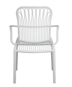 Aspen Dining Chair