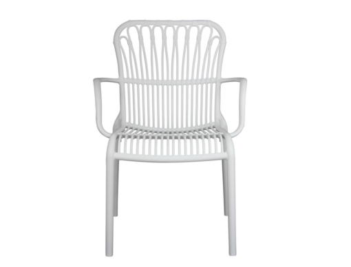 Aspen Dining Chair